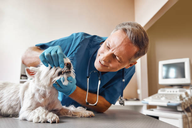 , TX Emergency Dental Service Company